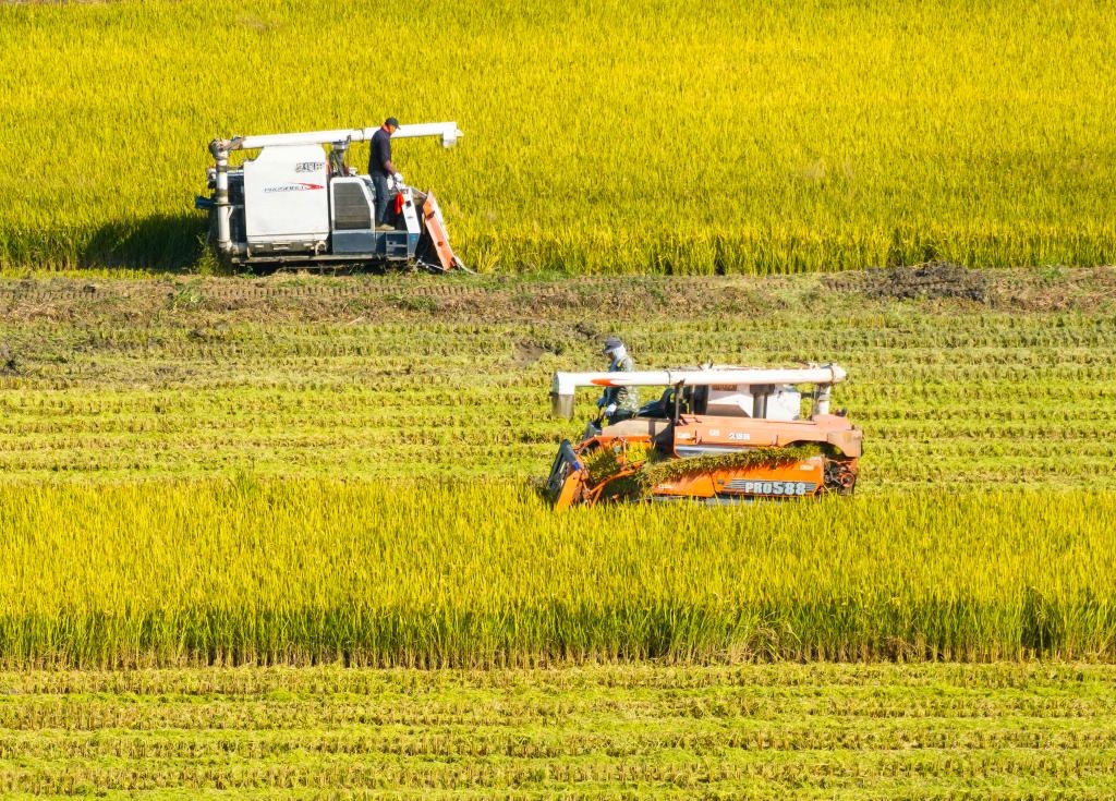 ����ʮ���� ���ũ��æ